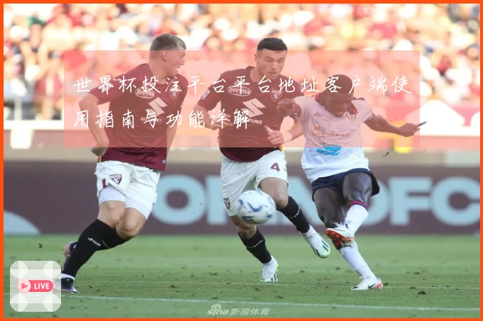 世界杯投注平台平台地址客户端使用指南与功能详解