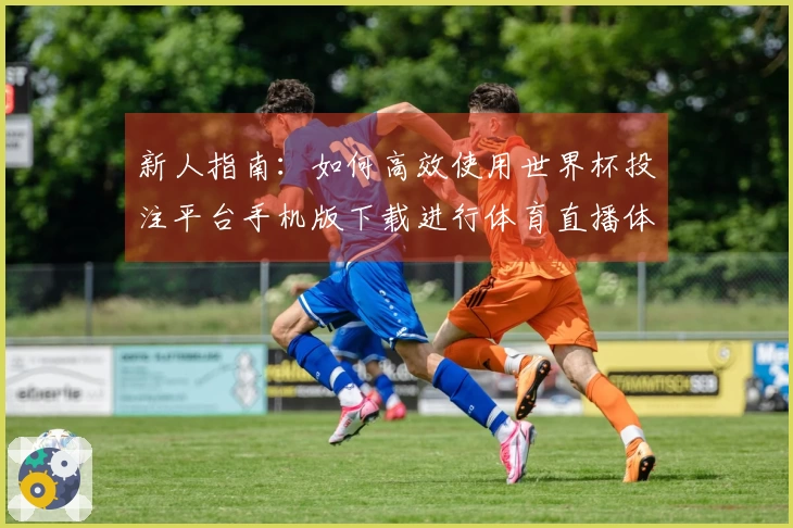 新人指南：如何高效使用世界杯投注平台手机版下载进行体育直播体验