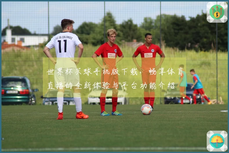 世界杯买球手机版下载，畅享体育直播的全新体验与平台功能介绍