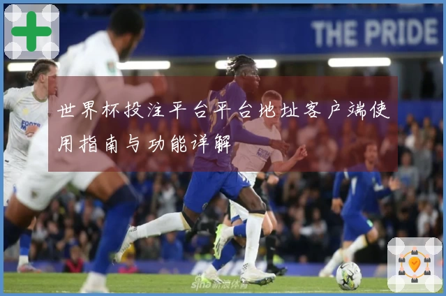 世界杯投注平台平台地址客户端使用指南与功能详解
