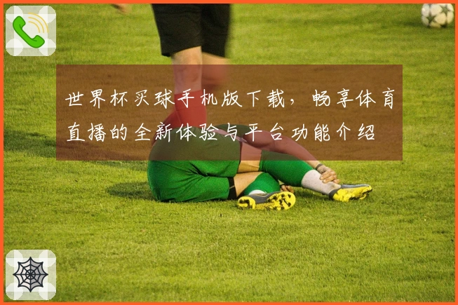 世界杯买球手机版下载，畅享体育直播的全新体验与平台功能介绍