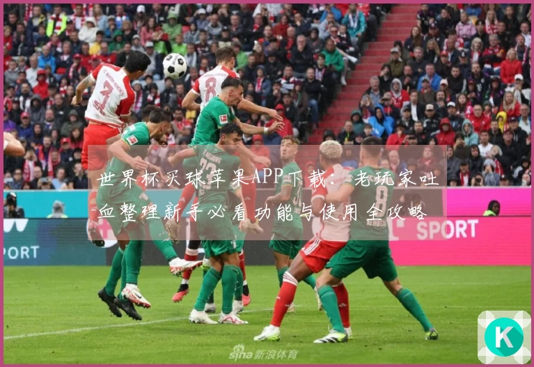 世界杯买球苹果APP下载：老玩家吐血整理新手必看功能与使用全攻略