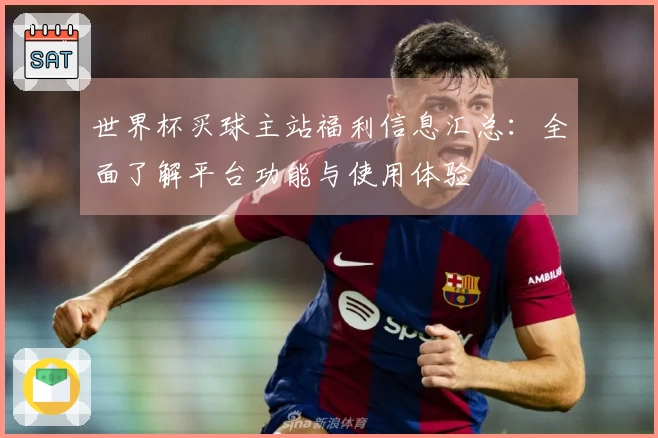 世界杯买球主站福利信息汇总:全面了解平台功能与使用体验