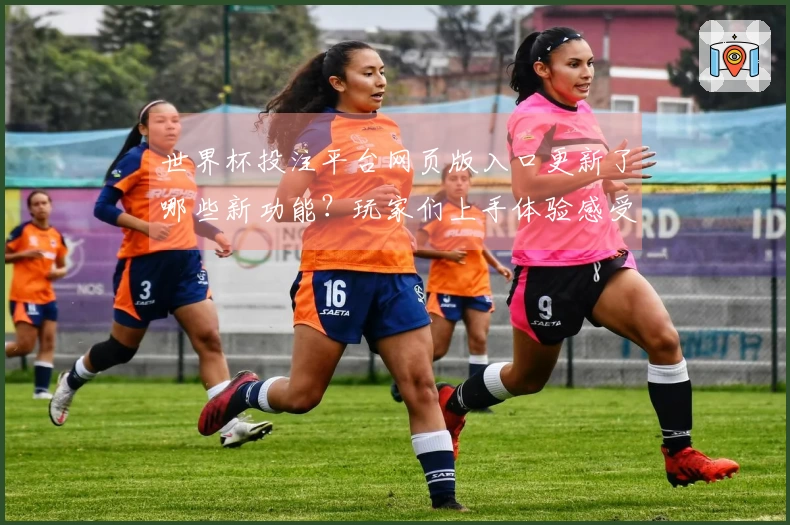 世界杯投注平台网页版入口更新了哪些新功能？玩家们上手体验感受分享