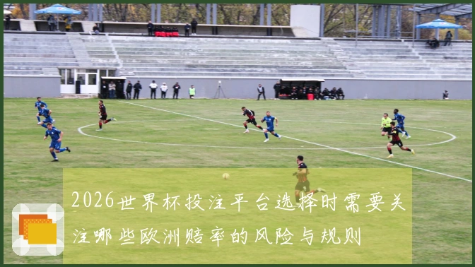 2026世界杯投注平台选择时需要关注哪些欧洲赔率的风险与规则
