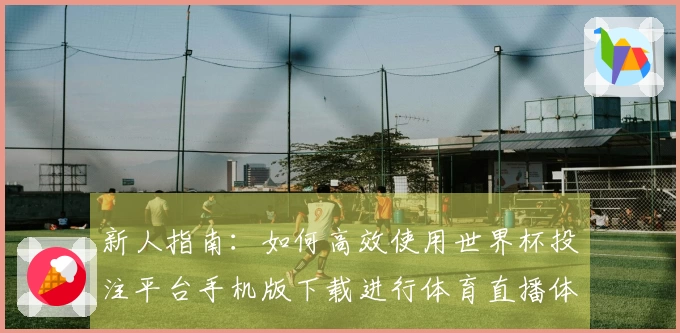 新人指南：如何高效使用世界杯投注平台手机版下载进行体育直播体验